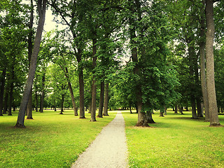 Image showing Path in green summer park