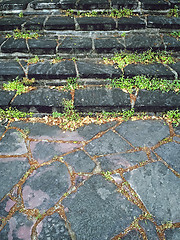 Image showing Old mossy stone steps