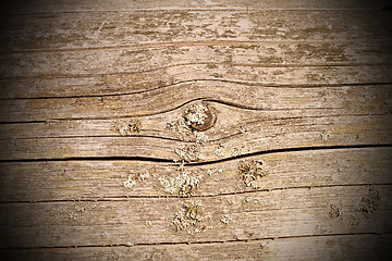 Image showing old spruce plank exposed to the elements