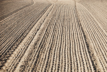 Image showing soil of an agricultural field