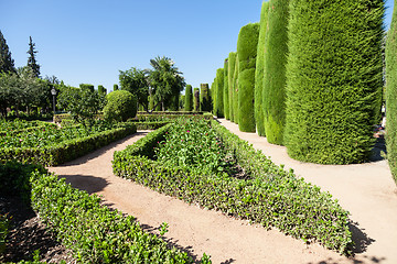 Image showing Italian Garden