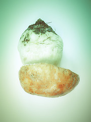 Image showing Retro look Porcini Mushroom