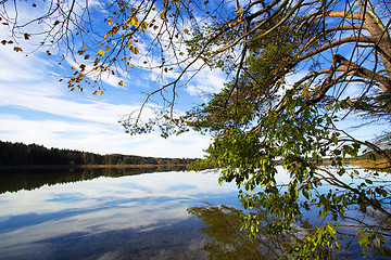 Image showing Sunny autumnal forest 