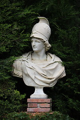 Image showing Bust of Alexander the Great