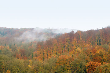 Image showing misty autumn forest