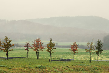 Image showing misty autumn scenery