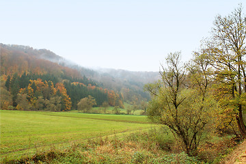 Image showing misty autumn scenery