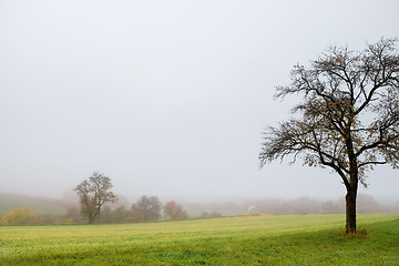 Image showing misty autumn scenery