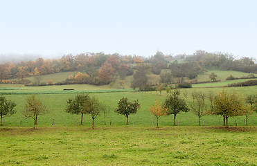 Image showing misty autumn scenery