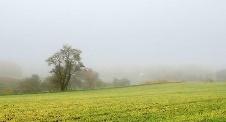 Image showing misty autumn scenery