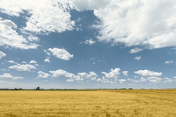 Image showing Hay bails on the field