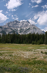 Image showing Alpine meadow in Canada