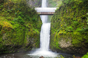 Image showing Multnomah Falls in Oregon