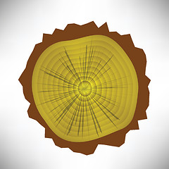 Image showing tree rings