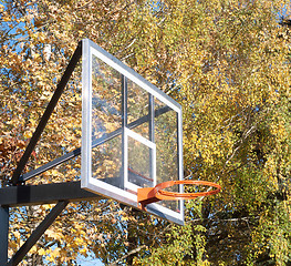 Image showing basketball board in autumn