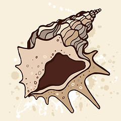 Image showing Grange shell. Hand drawn vector illustration