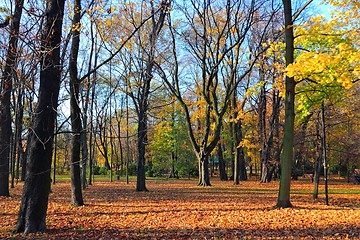 Image showing October in Europe