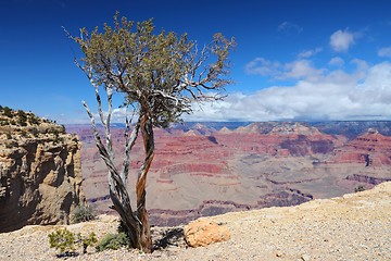 Image showing Grand Canyon National Park