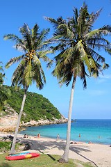 Image showing Koh Tao beach