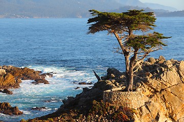 Image showing California coast