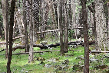 Image showing Yosemite, California