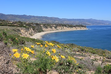 Image showing Malibu