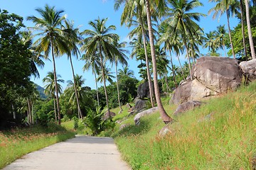 Image showing Ko Tao, Thailand