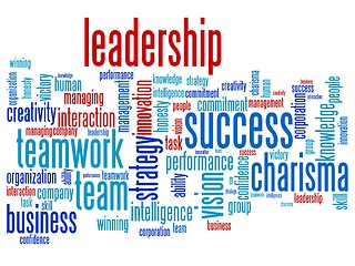 Image showing Leadership in business