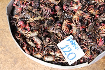 Image showing Seafood market in Asia