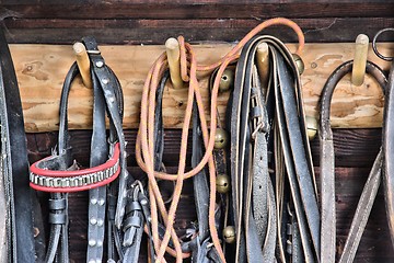 Image showing Equestrian equipment