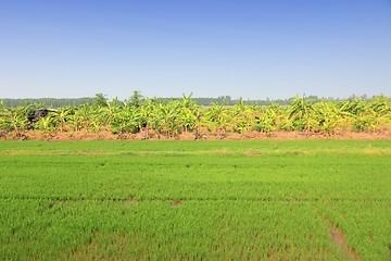 Image showing Thailand countryside