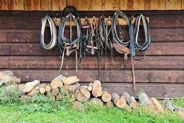 Image showing Stud farm in Poland