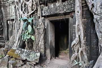 Image showing Cambodia culture