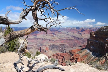 Image showing Grand Canyon