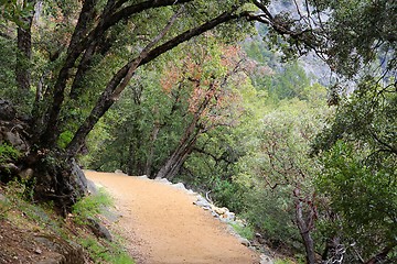 Image showing Yosemite