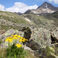 Image showing Italian Alps