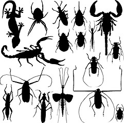 Image showing Insect silhouettes vector