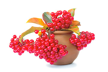 Image showing Berries of viburnum and yellow leaves in a ceramic vase on a whi