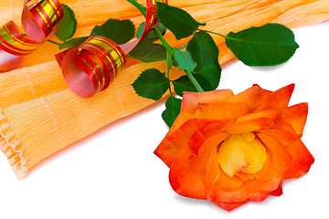 Image showing Flower red rose with leaves on a white background.