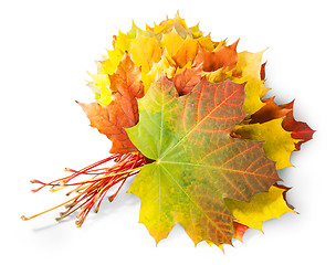 Image showing Bouquet Of Autumn Leaves