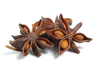 Image showing Star anise