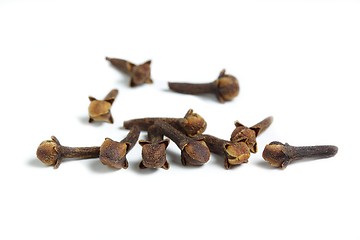 Image showing Cloves