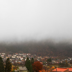 Image showing Colorful autumn in Bergen, Norway