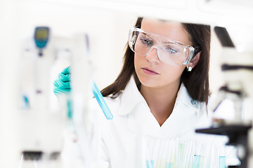 Image showing Young chemist in the laboratory.