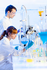 Image showing Young chemists in the laboratory.