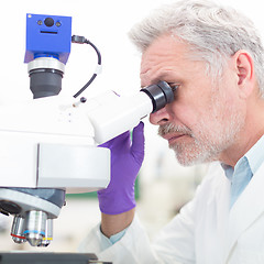 Image showing Senior scientist  microscoping in lab.