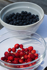 Image showing summer berries