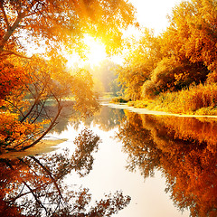 Image showing River in a delightful autumn forest