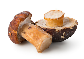 Image showing Two white mushrooms