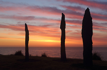 Image showing Bondi Points at Sculpture by the Sea